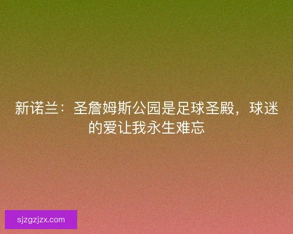 新诺兰：圣詹姆斯公园是足球圣殿，球迷的爱让我永生难忘