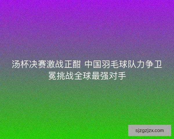 汤杯决赛激战正酣 中国羽毛球队力争卫冕挑战全球最强对手 汤杯决赛激战正酣 中国羽毛球队力争卫冕挑战全球最强对手